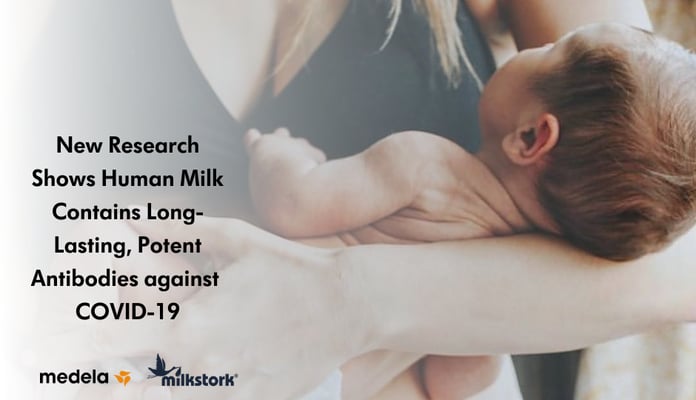 Featured image for: New Research Shows Human Milk Contains Long-Lasting, Potent Antibodies against COVID-19